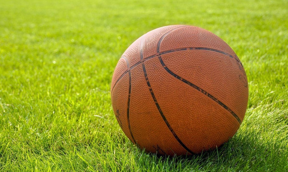 zuyomernon system basketball