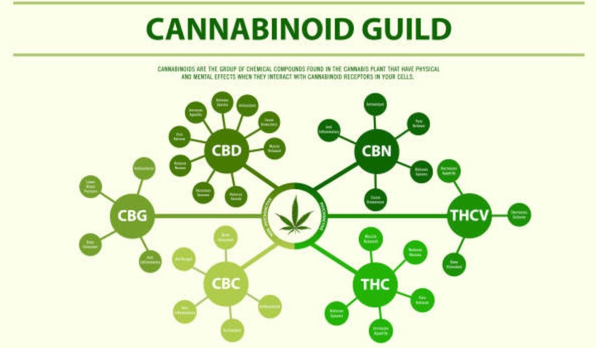 Cannabinoid Dosage
